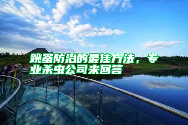 跳蚤防治的最佳方法，專(zhuān)業(yè)殺蟲(chóng)公司來(lái)回答