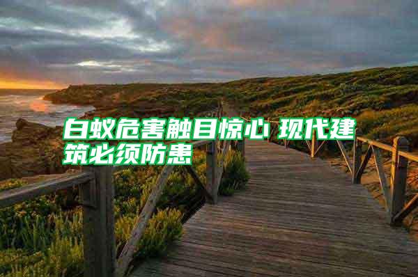 白蟻危害觸目驚心 現代建筑必須防患