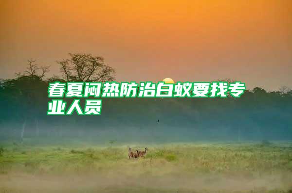 春夏悶熱防治白蟻要找專(zhuān)業(yè)人員