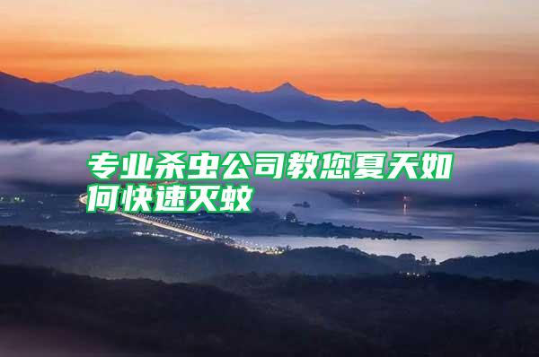 專業(yè)殺蟲公司教您夏天如何快速滅蚊