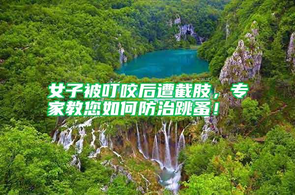 女子被叮咬后遭截肢，專家教您如何防治跳蚤！