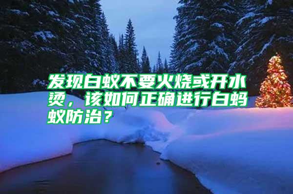 發現白蟻不要火燒或開水燙，該如何正確進行白螞蟻防治？