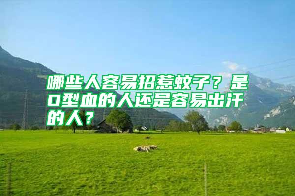 哪些人容易招惹蚊子？是O型血的人還是容易出汗的人？