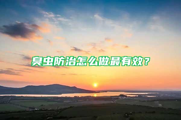 臭蟲防治怎么做最有效?