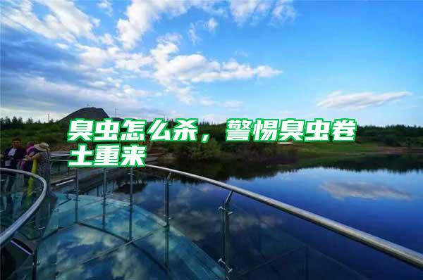 臭蟲怎么殺,警惕臭蟲卷土重來