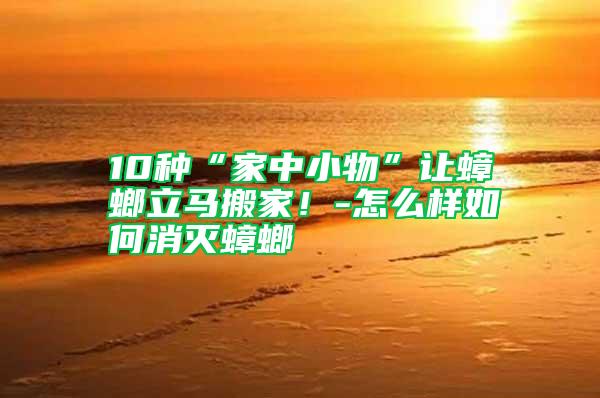 10種“家中小物”讓蟑螂立馬搬家！-怎么樣如何消滅蟑螂