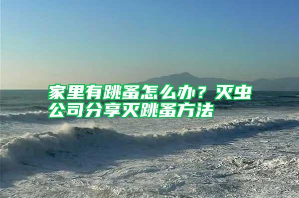 家里有跳蚤怎么辦?滅蟲公司分享滅跳蚤方法