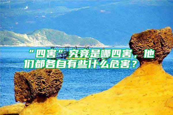 “四害”究競(jìng)是哪四害,他們都各自有些什么危害?