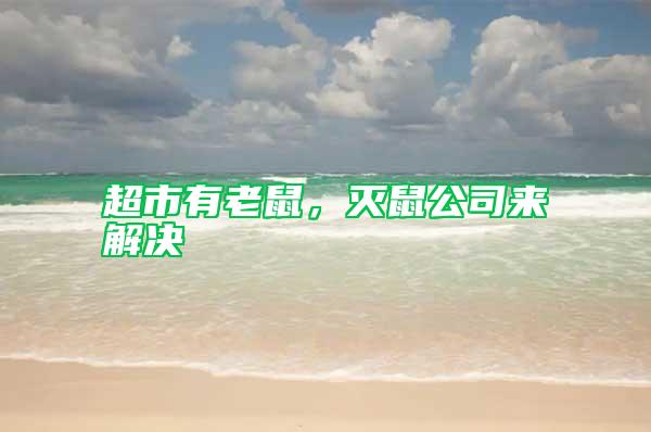 超市有老鼠，滅鼠公司來(lái)解決