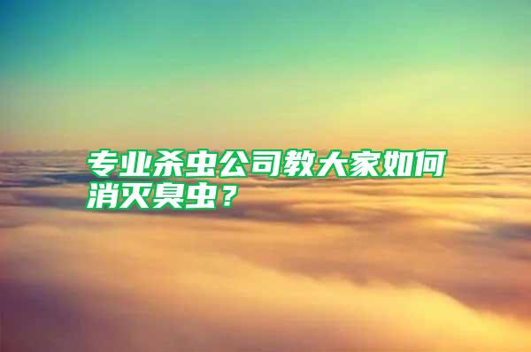 專業殺蟲公司教大家如何消滅臭蟲？