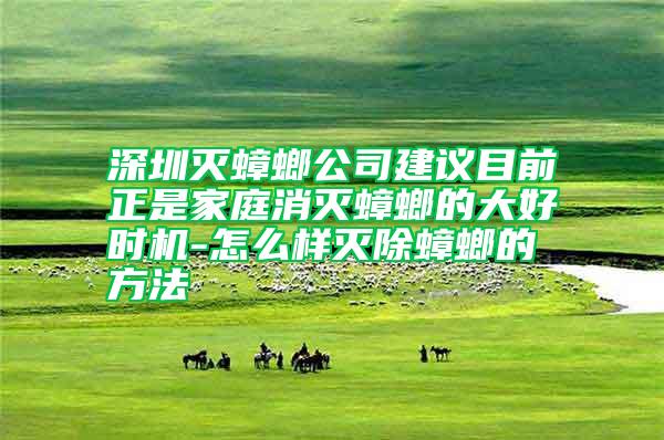 深圳滅蟑螂公司建議目前正是家庭消滅蟑螂的大好時機-怎么樣滅除蟑螂的方法
