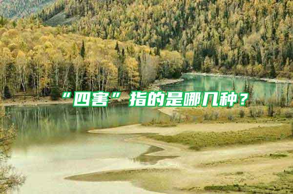 “四害”指的是哪幾種?