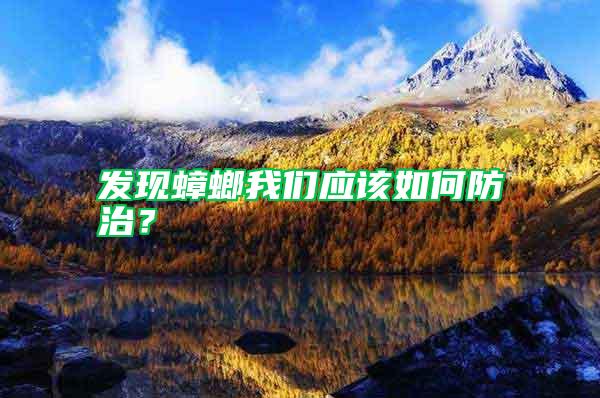 發(fā)現(xiàn)蟑螂我們應(yīng)該如何防治？