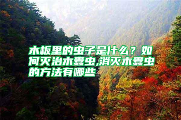 木板里的蟲子是什么？如何滅治木蠹蟲,消滅木蠹蟲的方法有哪些