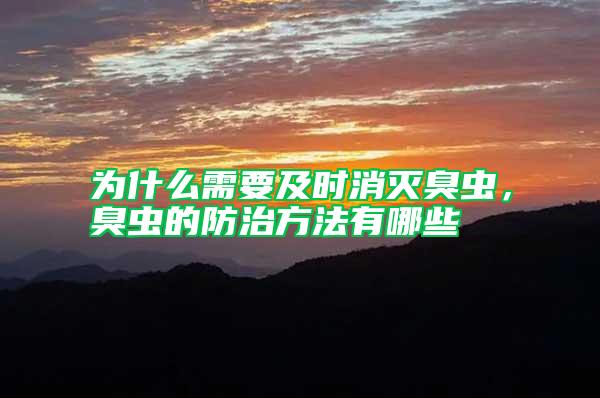 為什么需要及時消滅臭蟲，臭蟲的防治方法有哪些