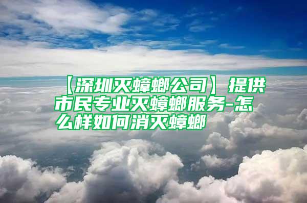 【深圳滅蟑螂公司】提供市民專業(yè)滅蟑螂服務-怎么樣如何消滅蟑螂