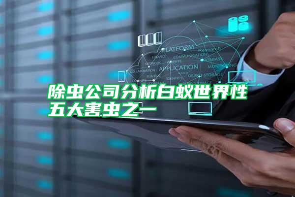 除蟲公司分析白蟻世界性五大害蟲之一