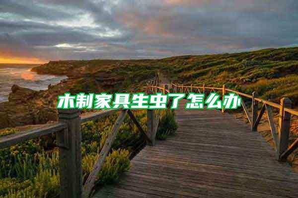 木制家具生蟲了怎么辦