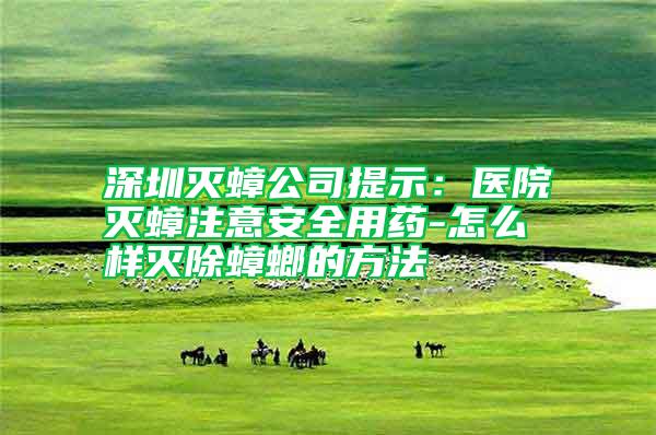 深圳滅蟑公司提示:醫院滅蟑注意安全用藥-怎么樣滅除蟑螂的方法