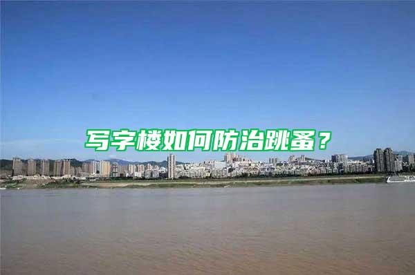 寫字樓如何防治跳蚤?