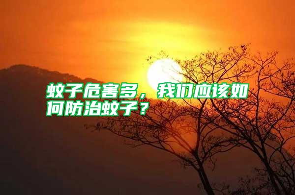 蚊子危害多,我們應(yīng)該如何防治蚊子?