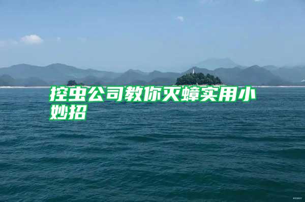 控蟲(chóng)公司教你滅蟑實(shí)用小妙招