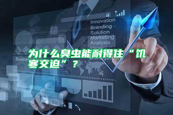 為什么臭蟲能耐得住“饑寒交迫”?