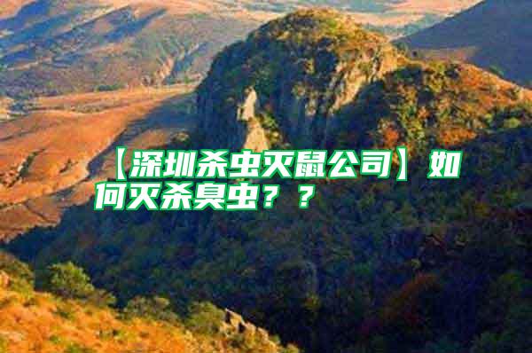 【深圳殺蟲(chóng)滅鼠公司】如何滅殺臭蟲(chóng)？？