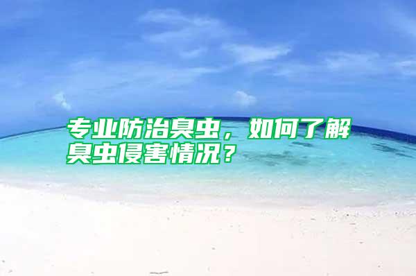 專業防治臭蟲,如何了解臭蟲侵害情況?