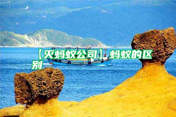 【滅螞蟻公司】螞蟻的區別