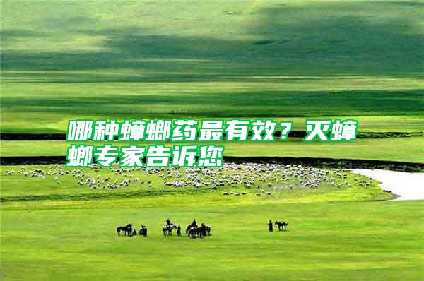 哪種蟑螂藥最有效?滅蟑螂專家告訴您