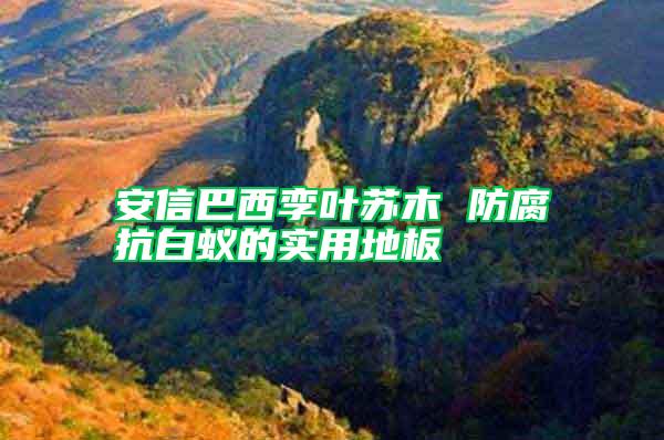 安信巴西孿葉蘇木 防腐抗白蟻的實用地板