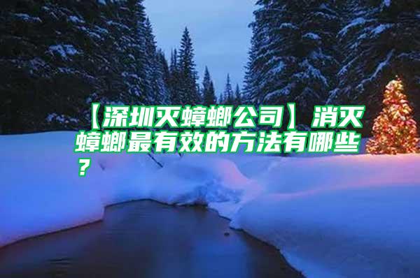 【深圳滅蟑螂公司】消滅蟑螂最有效的方法有哪些?