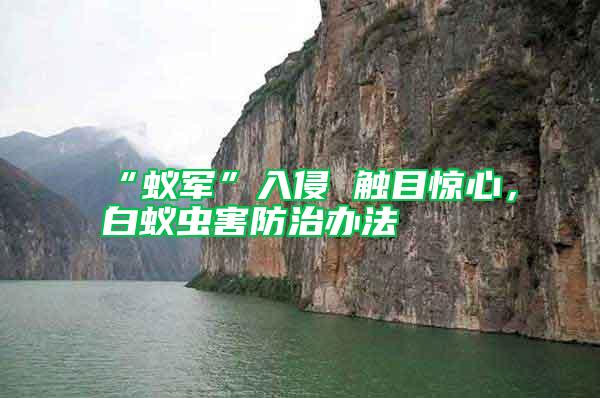 “蟻軍”入侵 觸目驚心，白蟻蟲害防治辦法