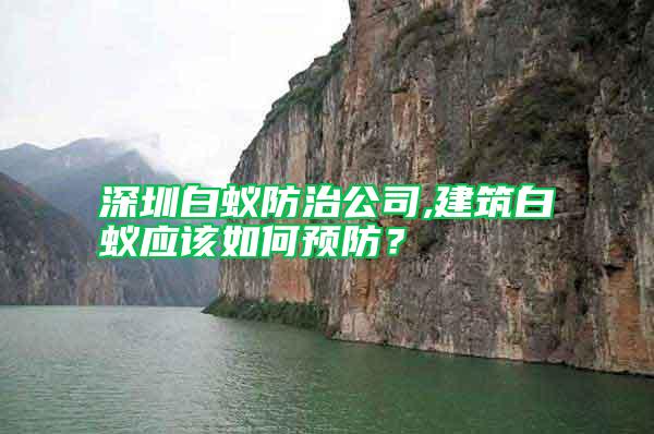 深圳白蟻防治公司,建筑白蟻應該如何預防?
