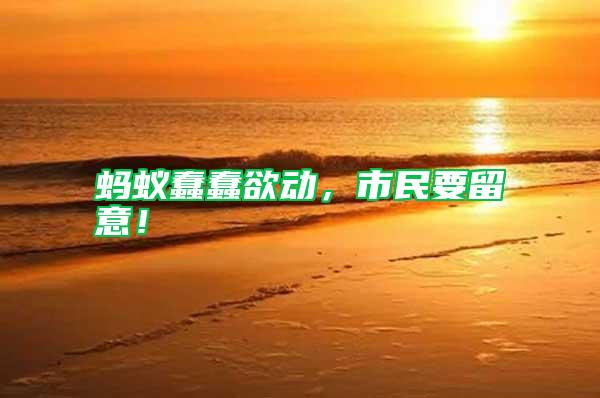 螞蟻蠢蠢欲動，市民要留意！