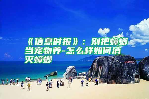 《信息時報》:別把蟑螂當寵物養-怎么樣如何消滅蟑螂