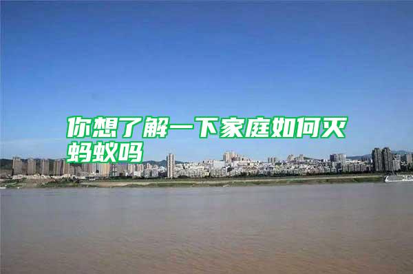 你想了解一下家庭如何滅螞蟻嗎