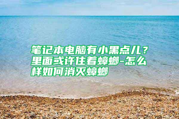 筆記本電腦有小黑點兒?里面或許住著蟑螂-怎么樣如何消滅蟑螂