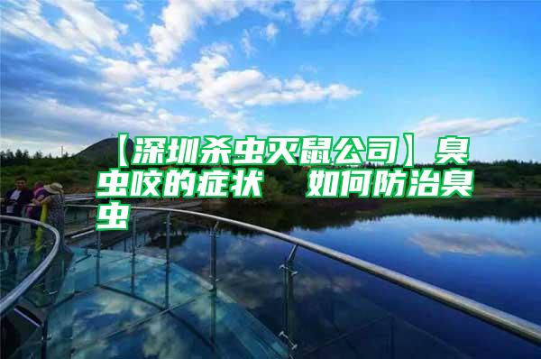 【深圳殺蟲滅鼠公司】臭蟲咬的癥狀  如何防治臭蟲