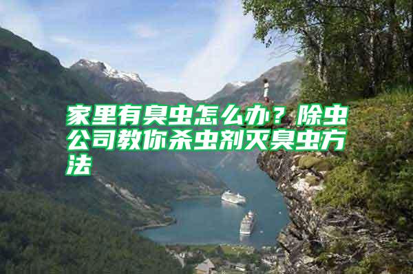 家里有臭蟲怎么辦？除蟲公司教你殺蟲劑滅臭蟲方法