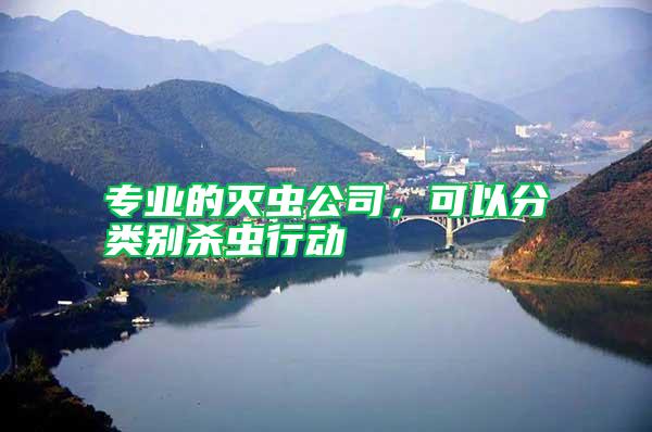 專業(yè)的滅蟲公司,可以分類別殺蟲行動(dòng)