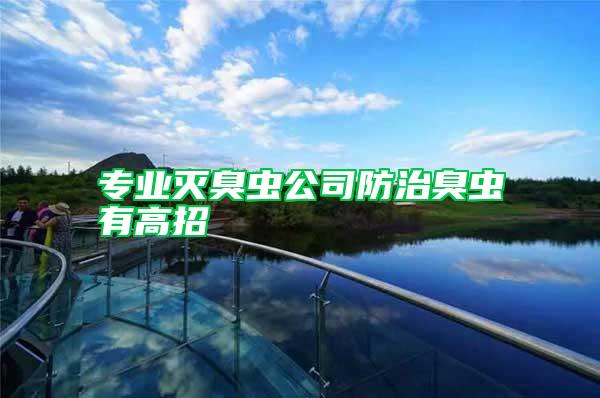 專業(yè)滅臭蟲(chóng)公司防治臭蟲(chóng)有高招