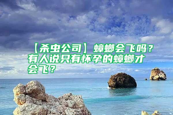 【殺蟲公司】蟑螂會飛嗎?有人說只有懷孕的蟑螂才會飛?