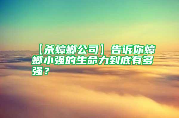 【殺蟑螂公司】告訴你蟑螂小強(qiáng)的生命力到底有多強(qiáng)？