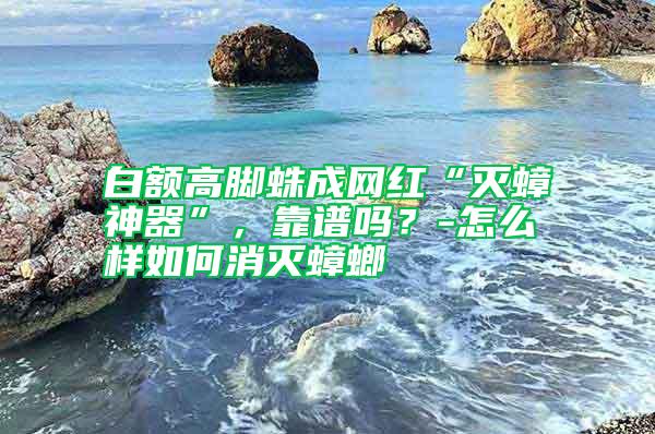 白額高腳蛛成網紅“滅蟑神器”,靠譜嗎?-怎么樣如何消滅蟑螂