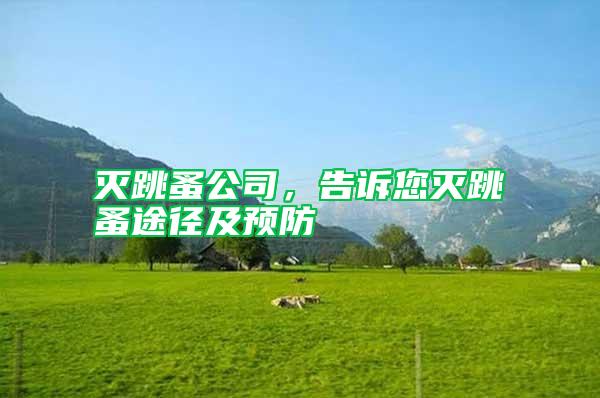 滅跳蚤公司，告訴您滅跳蚤途徑及預防