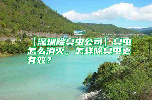 【深圳除臭蟲公司】臭蟲怎么消滅，怎樣除臭蟲更有效？