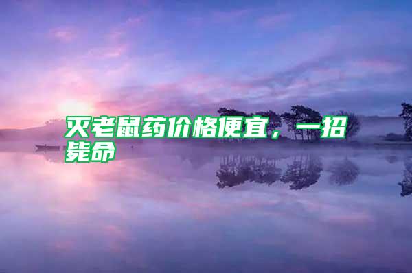 滅老鼠藥價格便宜,一招斃命