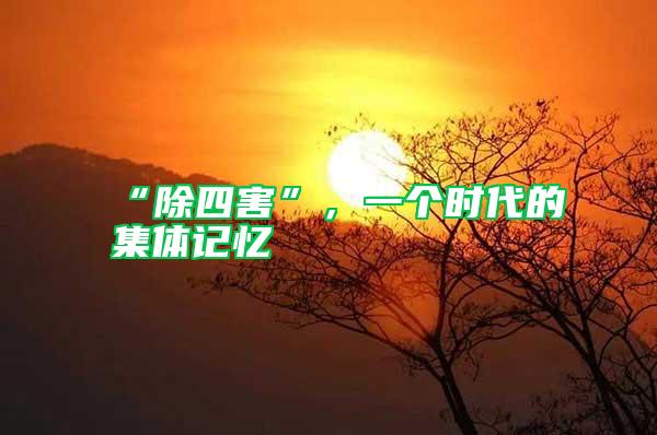 “除四害”，一個時代的集體記憶